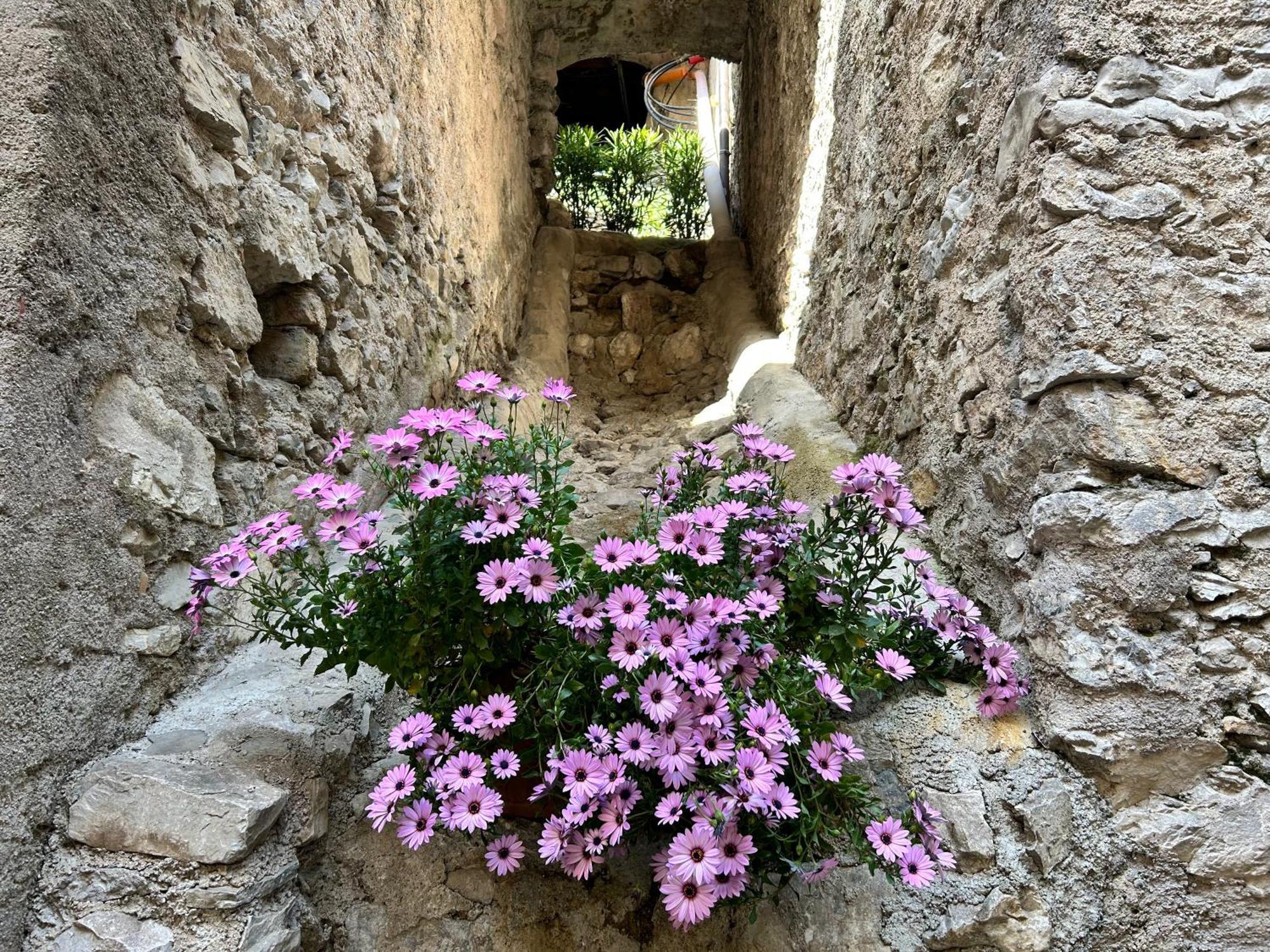 Studios Al Castello Dei Limoni Limone sul Garda Εξωτερικό φωτογραφία